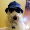 rnspuppy02